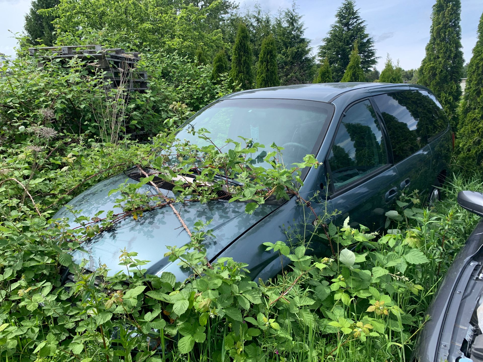 2005 Dodge Grand Caravan part