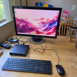 HP EliteDesk 800 G2 DM Mini PC Desktop with 24 Inch Monitor