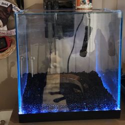 Fish Tank Kit 