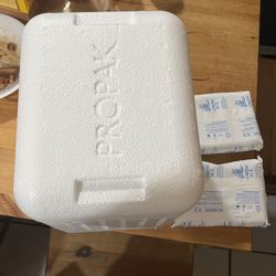 Foam Cooler With Two Ice Packs