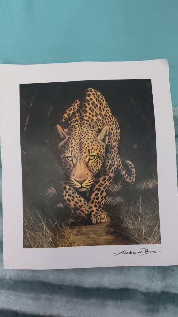 Andrew Bone Painting With Certif. Of Authenticity