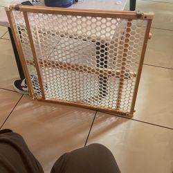Doggie Door 