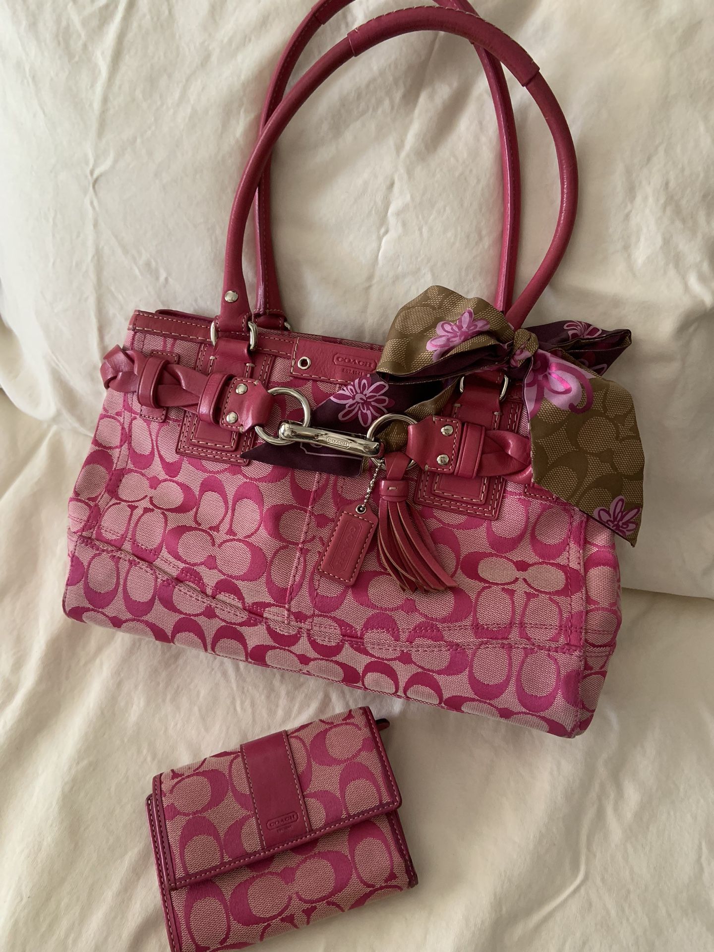 Coach Handbag And Wallet