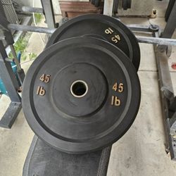 Olympic Bumper Plates 