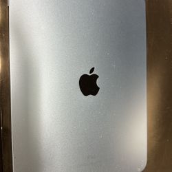 Blue iPad For Sale