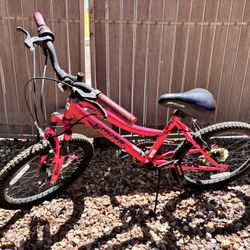Girl Bike 20”