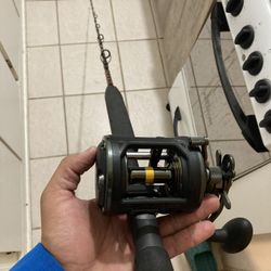 Squall 2 20 Lw On A Penn Rampage Rod