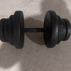 21 lb Dumbells