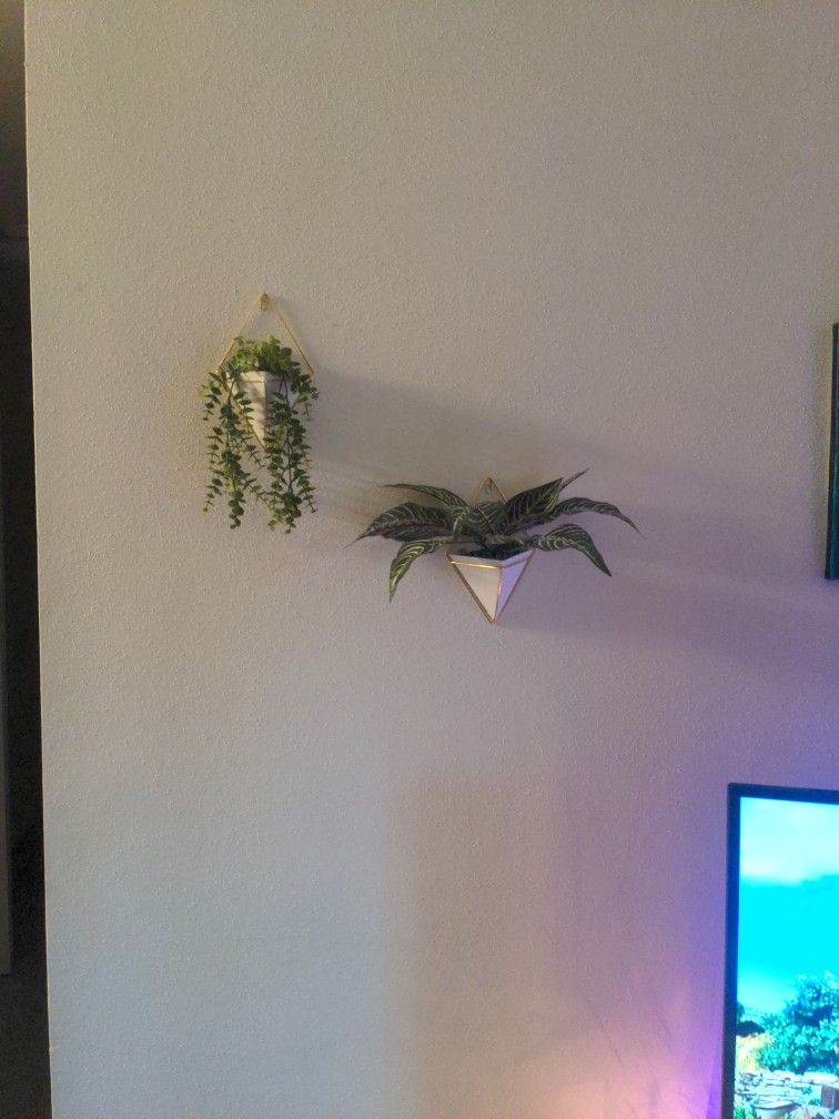 Triangle Wall Planters/W Plants