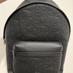 Dior Rider Zipped Leather Backpack (Brand New)