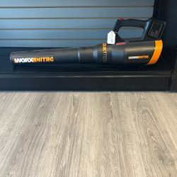 Worx Leaf Blower