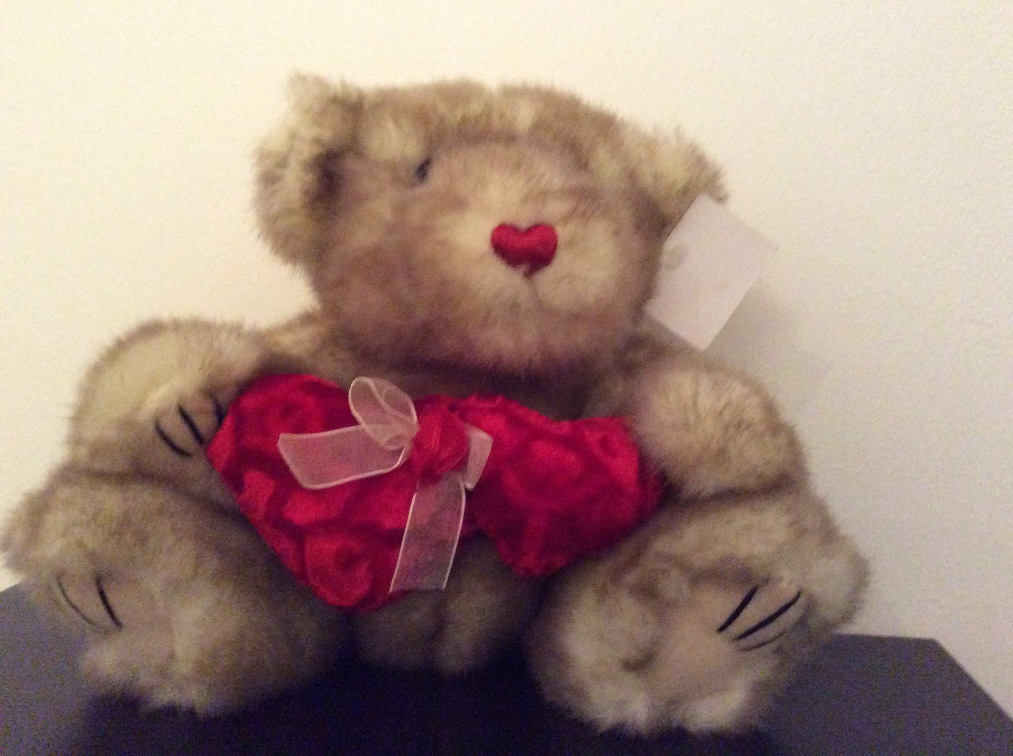 DanDee Heart Bear  New 