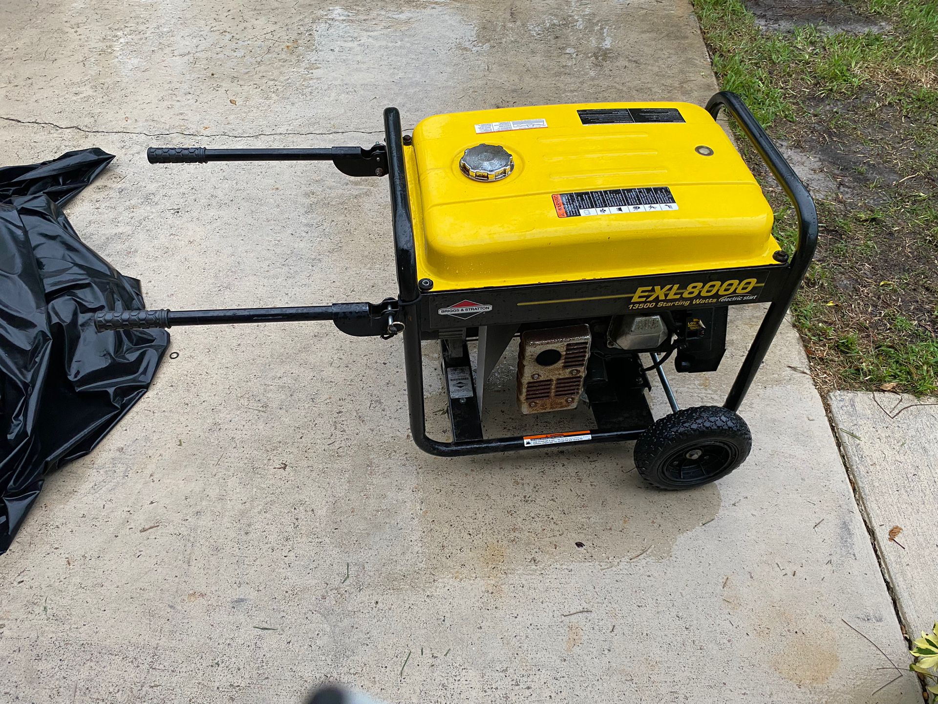 Briggs and Stratton EXL8000 Generator