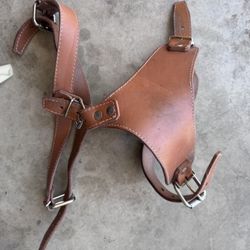 Leather Dog Harness 