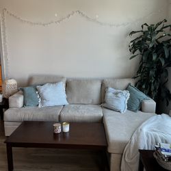 Living Room Set: Couch, Coffee Table, Side Tables, Pillows, Plant