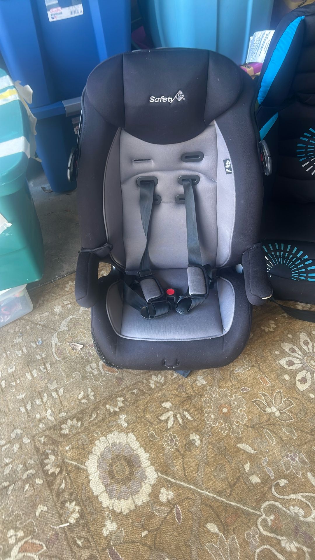 Toddler at Seat car seat