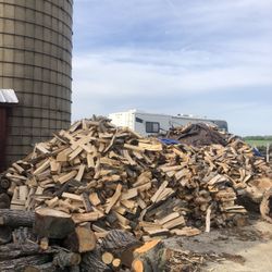 Firewood 