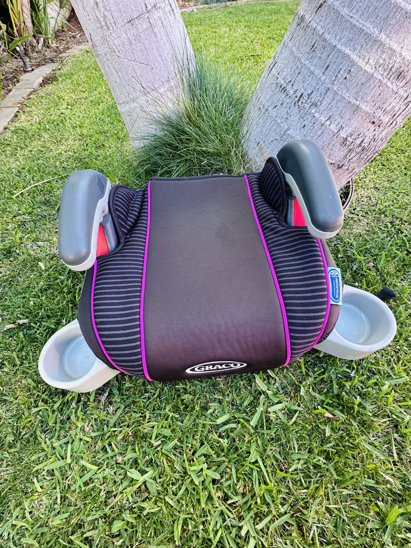 Graco Booster Car Seat