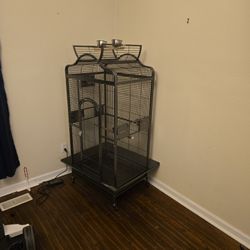 Bird Cage