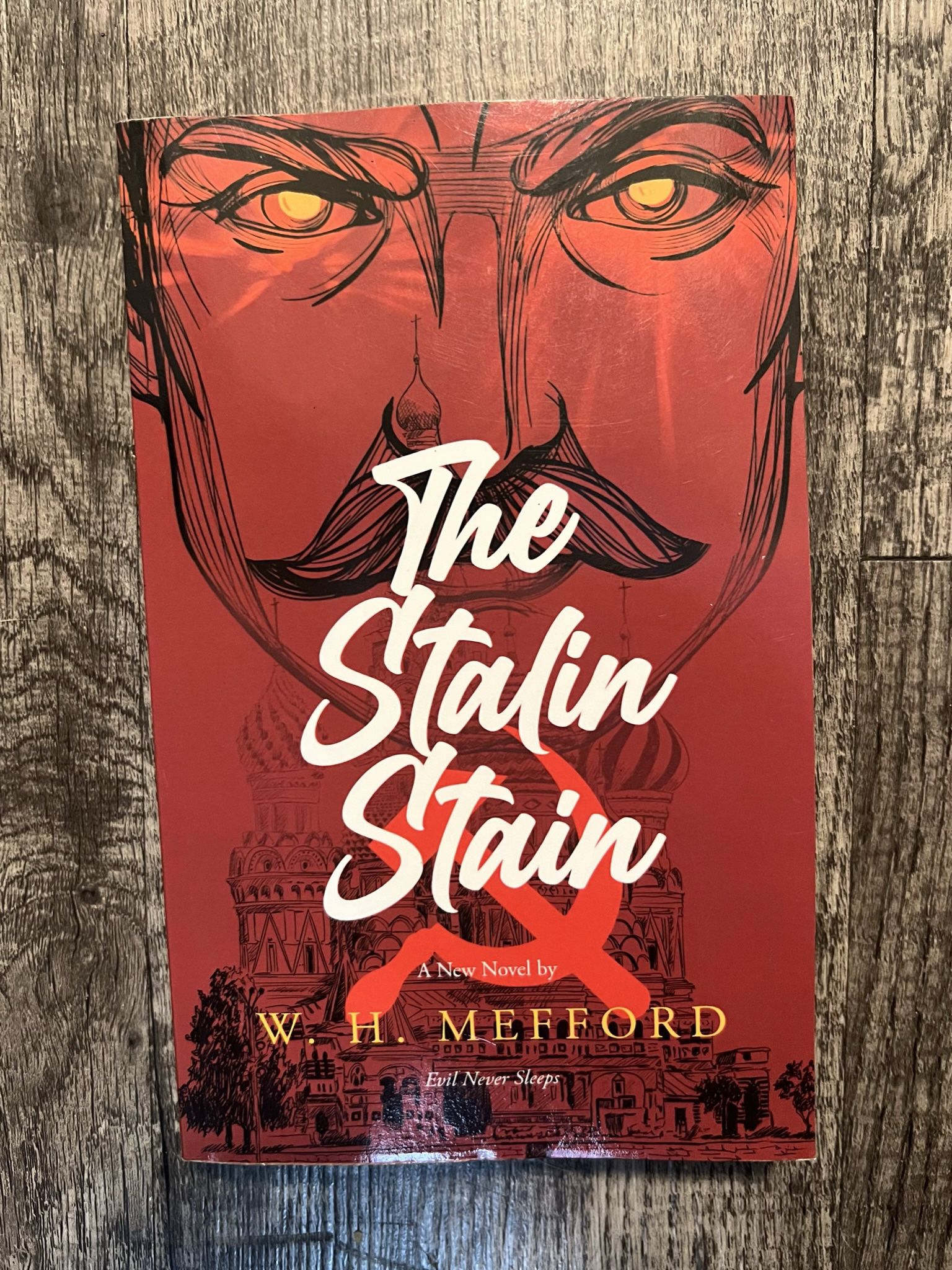 The Stalin Stain Kindle Edition