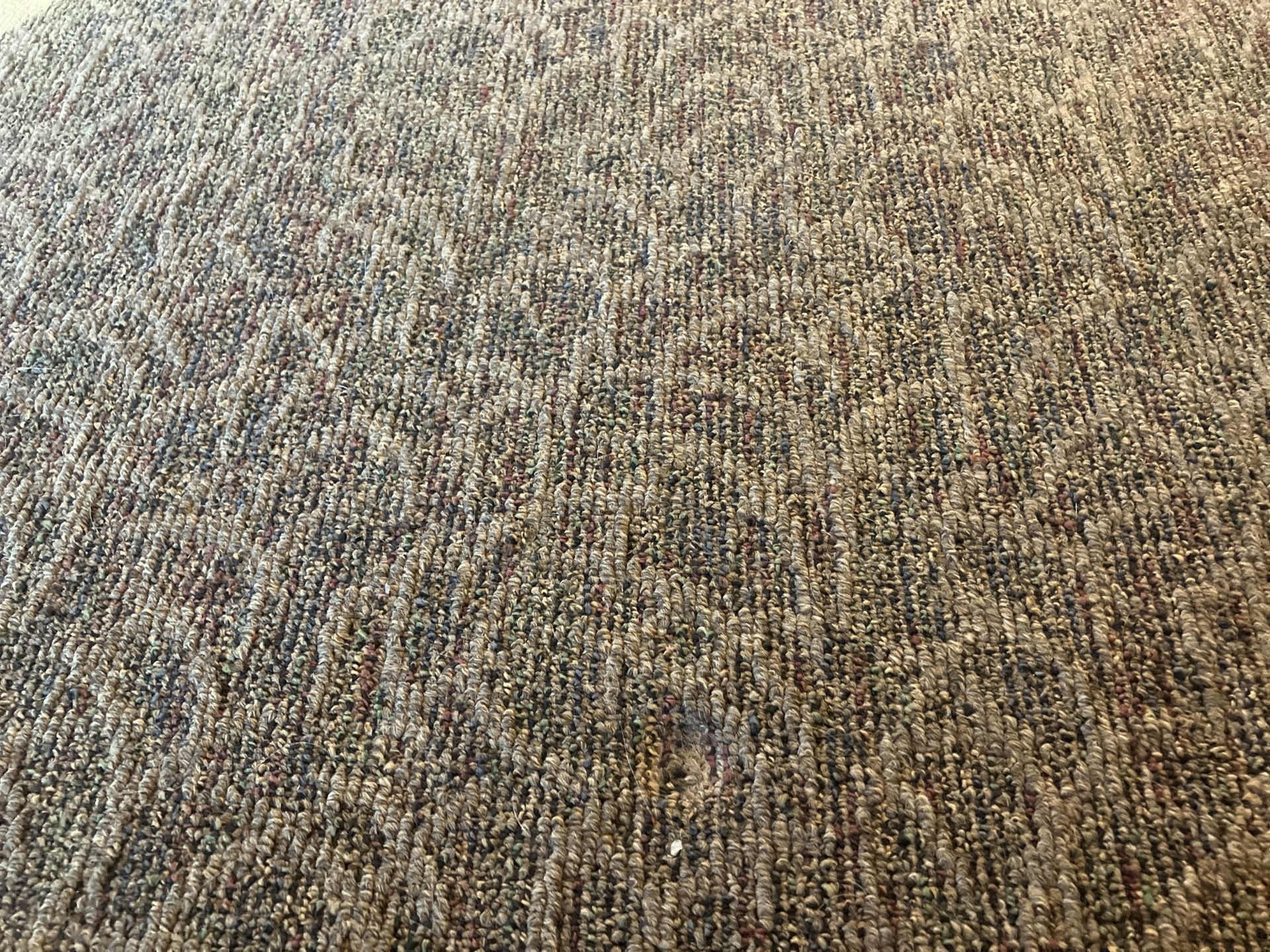 Carpet 16 X 24 like new