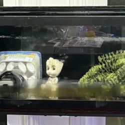 20 Gallon Long Fish Tank Aquarium Supplies