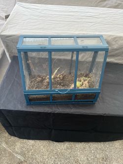 Succulent/ plant greenhouse