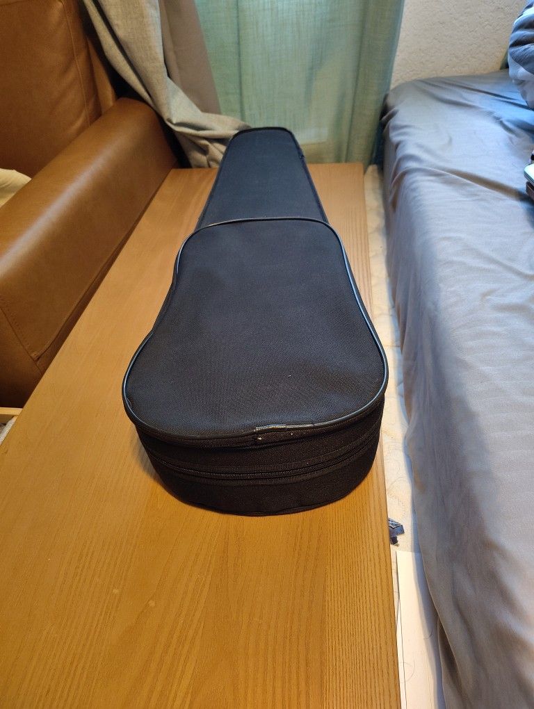 Violin Y Su Estuche