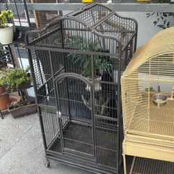 Bird Cages 