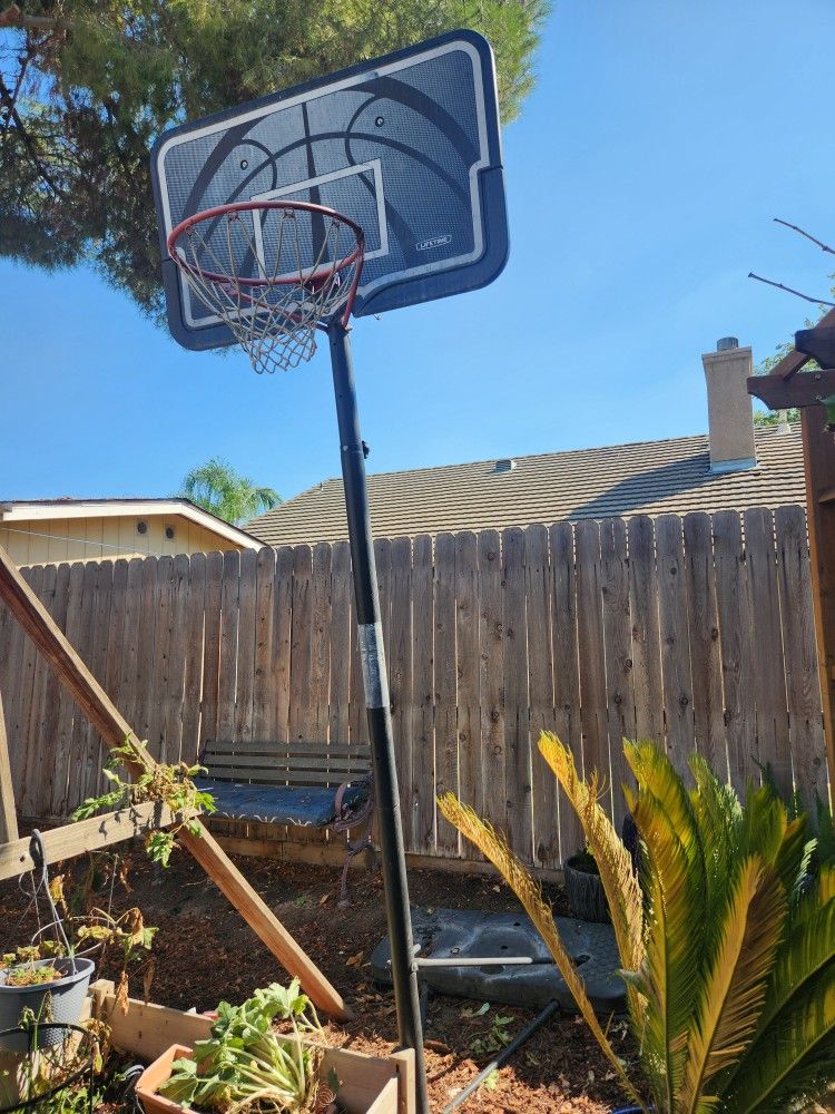 Basketball Hoop