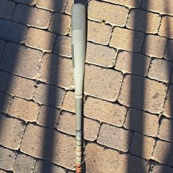 Warstic Baseball Bat Bbcor 