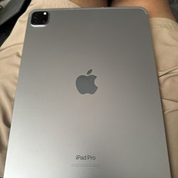iPad Pro 11 Inch 4th Gen. Wifi +cellular 