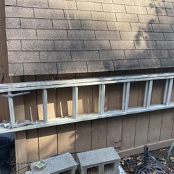 8 Ft Extension Ladder