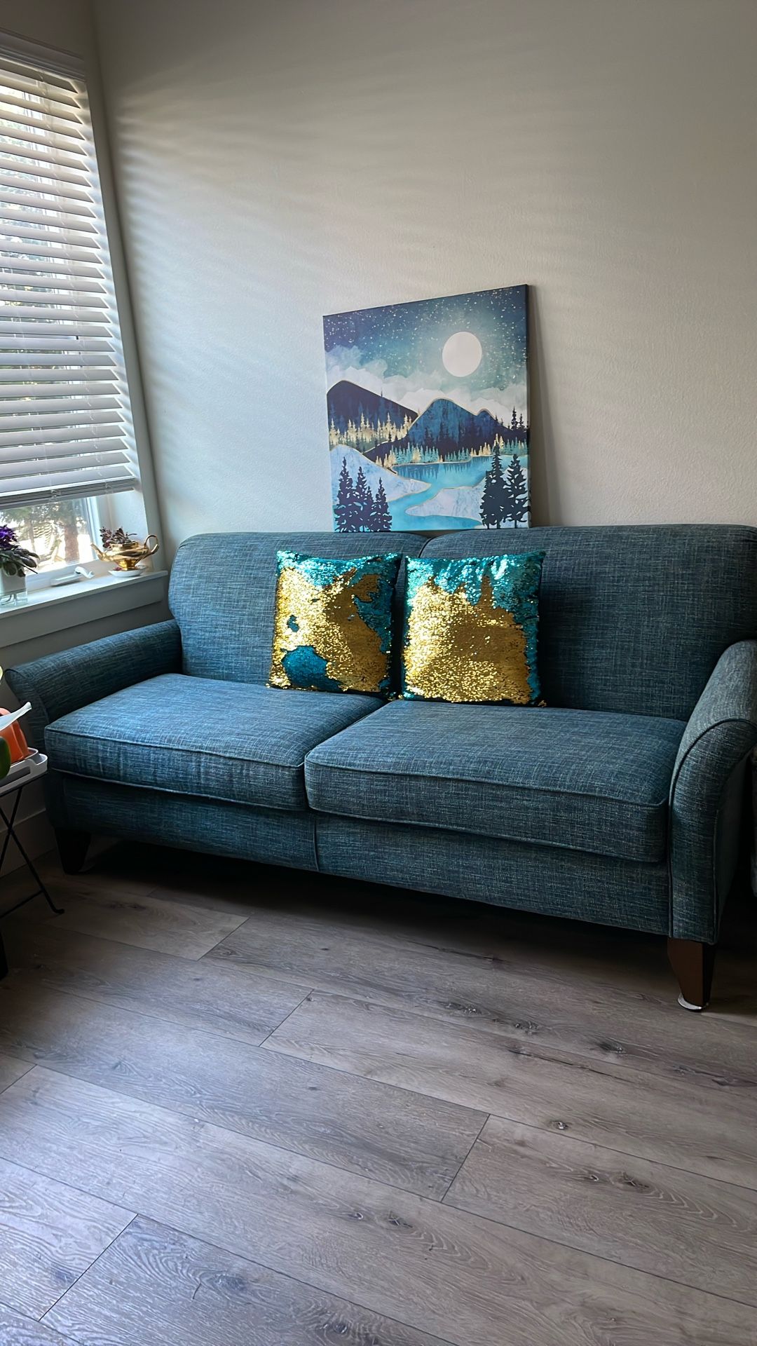 Sofa support seat cushions & seat cover
