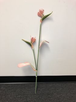 Silk bird of paradise stem