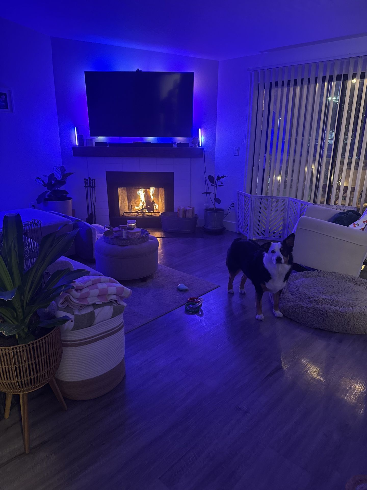65” Samsung TV with govee backlight 