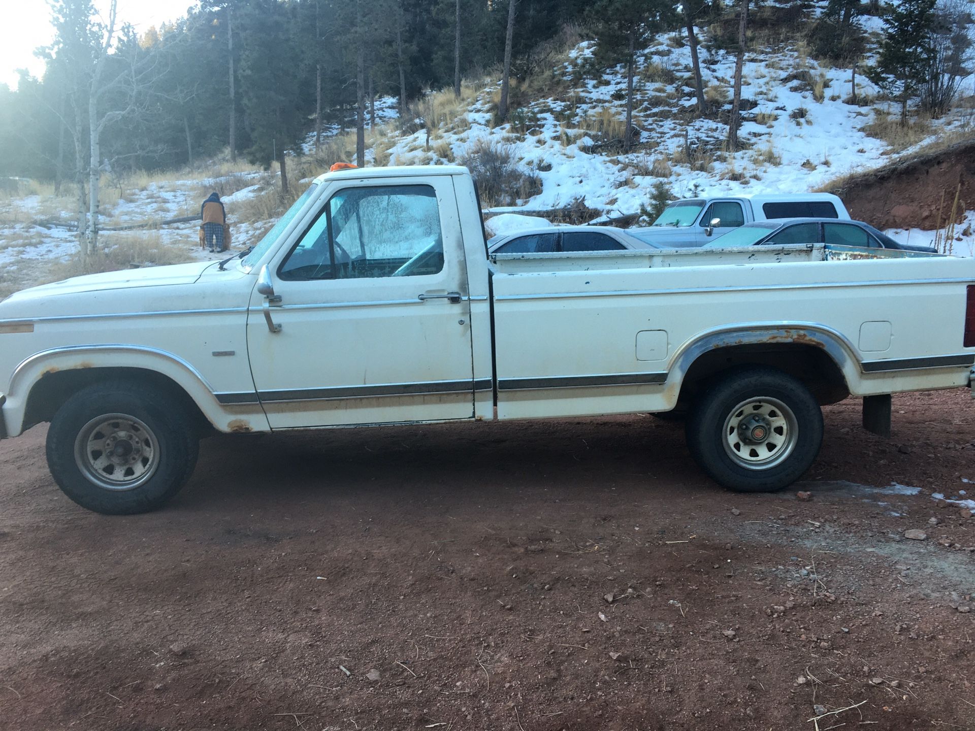 1984 Ford F-150