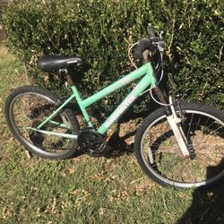 Roadmaster On /Off Road Bike 24x1.95 Tires 42cm FH