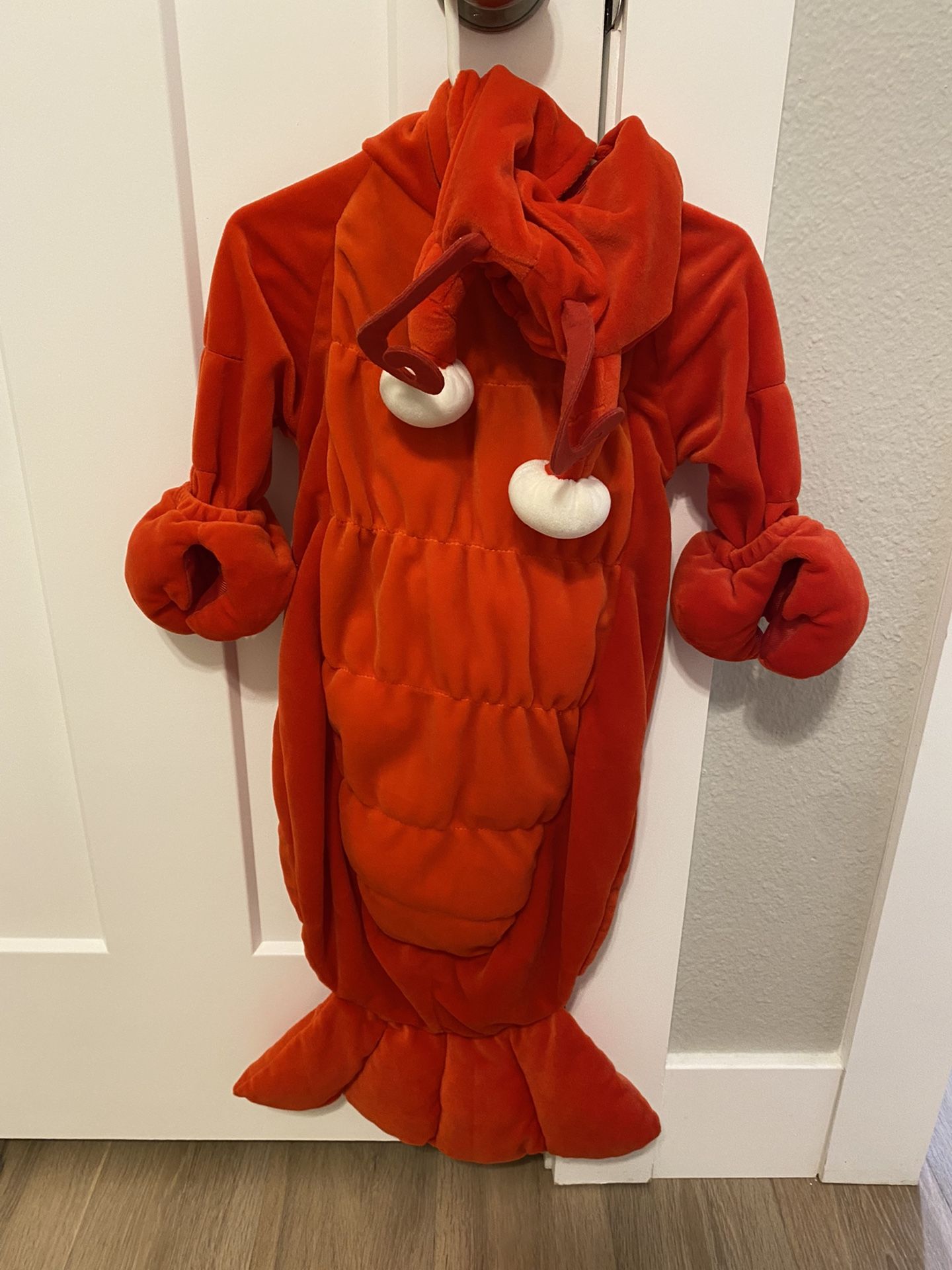 Kid’s Halloween Costume