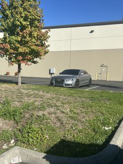 2009 Audi S5