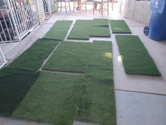 Artificial Grass New