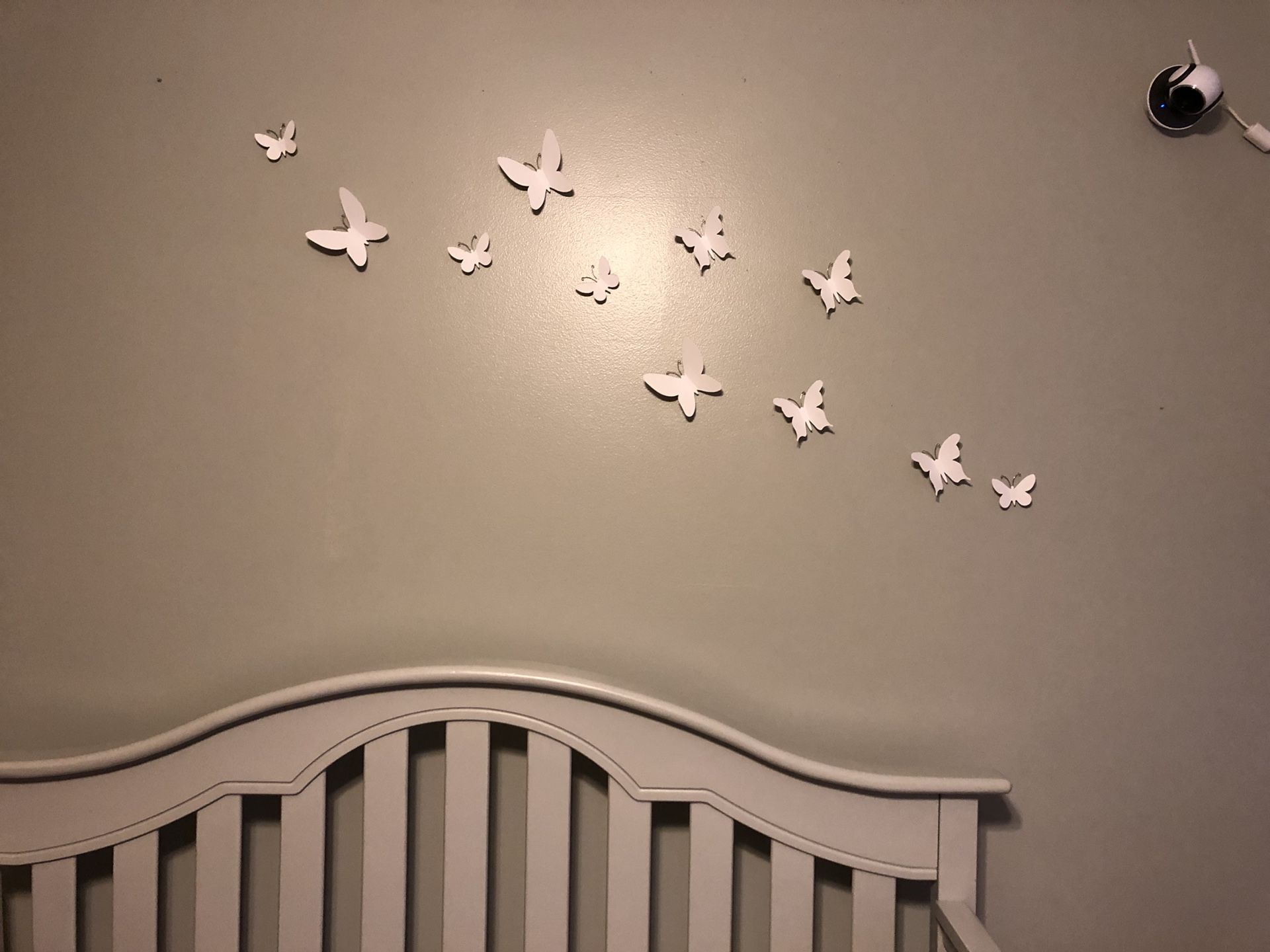 Butterfly Wall Decor set of 12