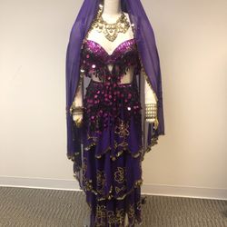 Halloween Belly Dancing Costume