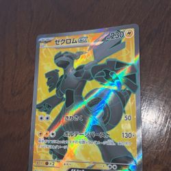 Zekrom