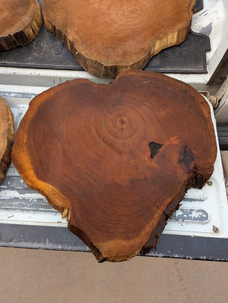 Rustic Wood Rounds - Mesquite