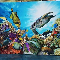 Fish, tropical fish, canvas print 36×48