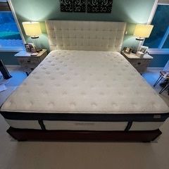 King Mattress - Charles Rogers Powercore Nano2