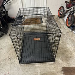 Dog Kennel
