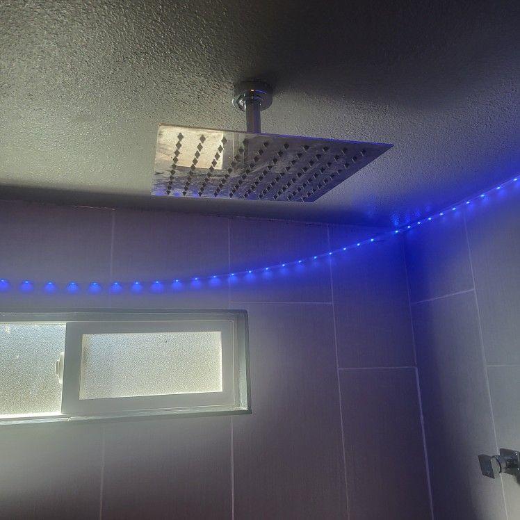 12" Rain Shower-Absolutely Heaavenly