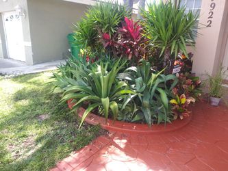 Ayudante para cortar grama